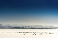 Thumbnail for version as of 11:24, 2 March 2026