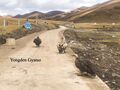 Nédro Dorjé Dzong road
