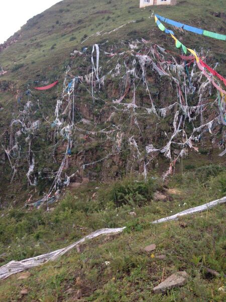 File:Dröpuk Khandro Duling 07.jpeg