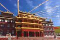 Dzagyal Puntsok Norbu Ling 001