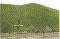 Thumbnail for version as of 15:54, 11 October 2026
