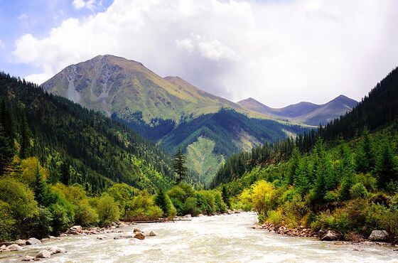 The upper basin of the Nyak Chu, in Kham.