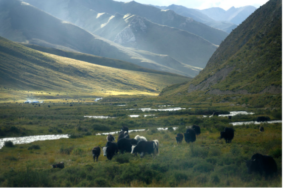 A tributary of the Nyak Chu.