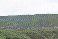 Thumbnail for version as of 15:45, 11 October 2026
