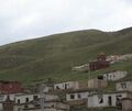 Dzagyal Puntsok Norbu Ling 004