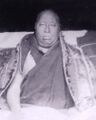 Nhenpo Ngawang Palzang face