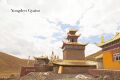 Nédro Dorjé Dzong roofs